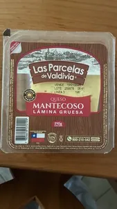 QUESO MANTECOSO LÁMINA GRUESA