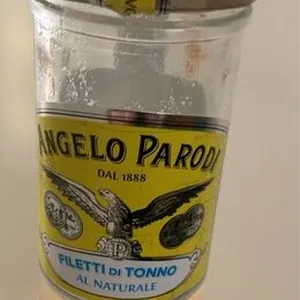 Filetti di tonno al naturale