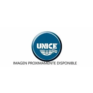 Radiostyrd bil Unice Toys