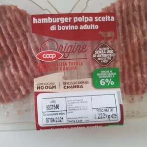Hamburger origine
