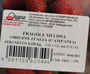 Fragole melissa