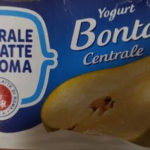 Yogurt Bontà Centrale