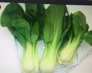 Pak choi
