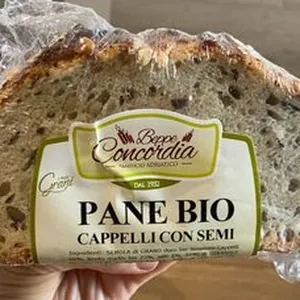 Pane bio cappelli con semi