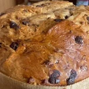 panettone con goccie di cioccolato