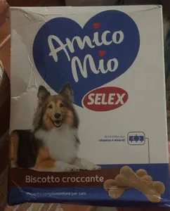 Amico mio
