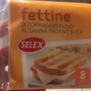 Fettine di formaggio fuso