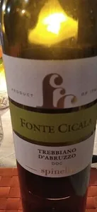 Fonte Cicala