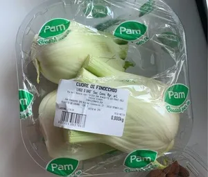 finocchi