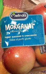 Kizuri Morgana  melinda