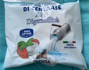 mozzarella di centrale