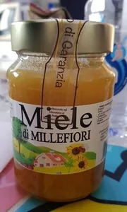 Miele di mille fiori