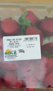 Fragole Melissa