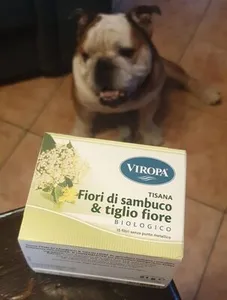tisana Fiori di sambuco & tiglio fiore biologico