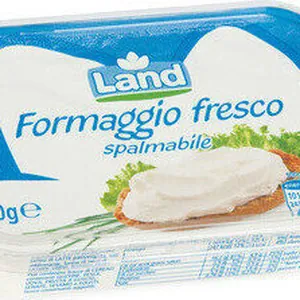 Formaggio spalmabile fresco