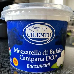 Mozzarella di Bufala Campana DOP