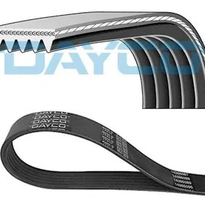 Multirem DAYCO 5PK1745