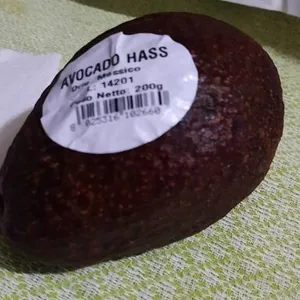 Avocado