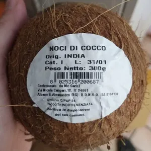 Noce di cocco