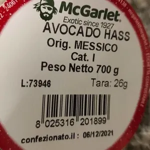 Avocado Hass