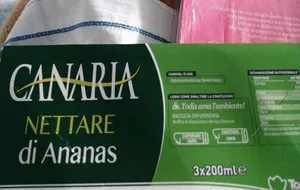 Nettare d'ananas