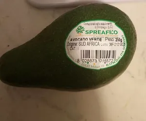 Avocado