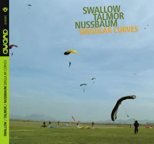 Swallow/Talmor/Nussbaum: Singular Curves