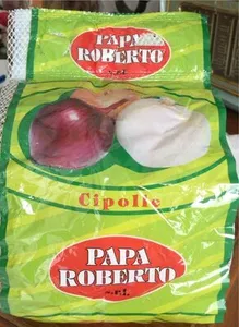 Papa roberto