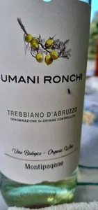 Trebbiano d'abruzzo