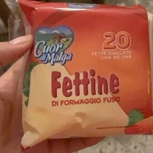 fettine di formaggio fuso