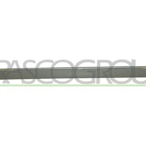 Stötfångarlist PRASCO ME0391265