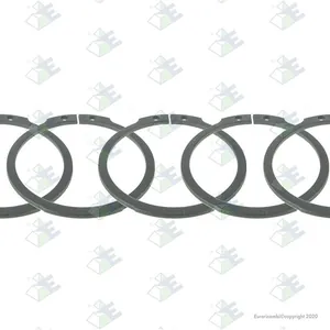 Säkringsring Euroricambi 60531334