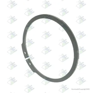 Säkringsring Euroricambi 60531699