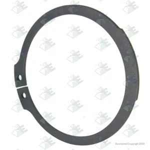 Säkringsring Euroricambi 60531336