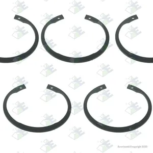 Säkringsring Euroricambi 60531092