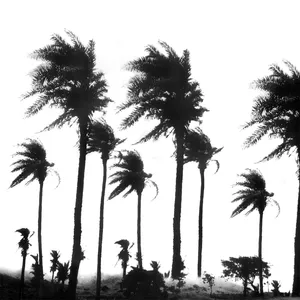 Magazzini Criminali: Crollo nervoso