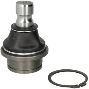 Spindelled Moog Ni-Bj-4926