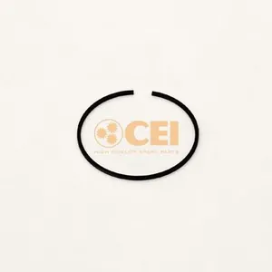 Säkringsring CEI 239.117