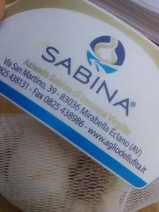sabina