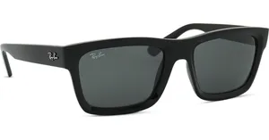 Ray-Ban Warren RB4396 667787 57