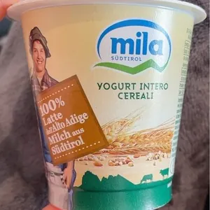 Vollmilchjoghurt Getreide