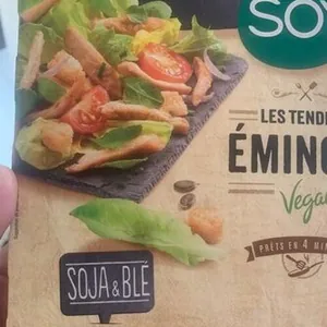 Les tendre émincés soja