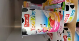 Pascual Yogi kids Yoghurt