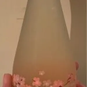 Sandara Chardonnay & Saké