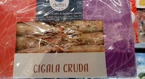 Delfin CIGALA CRUDA