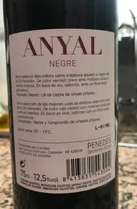 Anyal negre