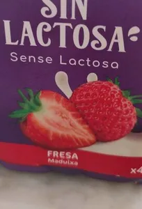 Leche fermentada