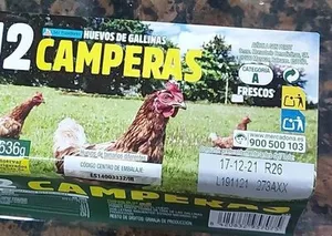 Huevos camperos
