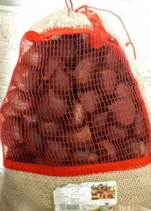 Castaña  de España