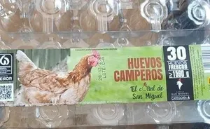 Huevos camperos